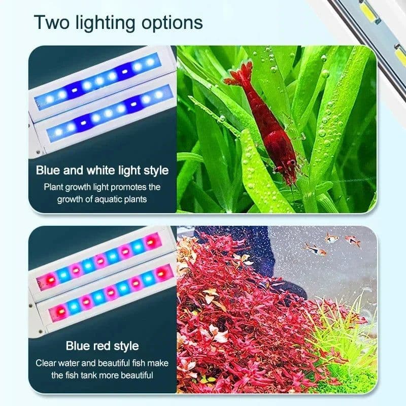 image-Timeable Fish Tank LED Double Clip Lamps Full Spectrum Water Grass Enhancement Growth Lamping Aquarium Lighting Clip Lights