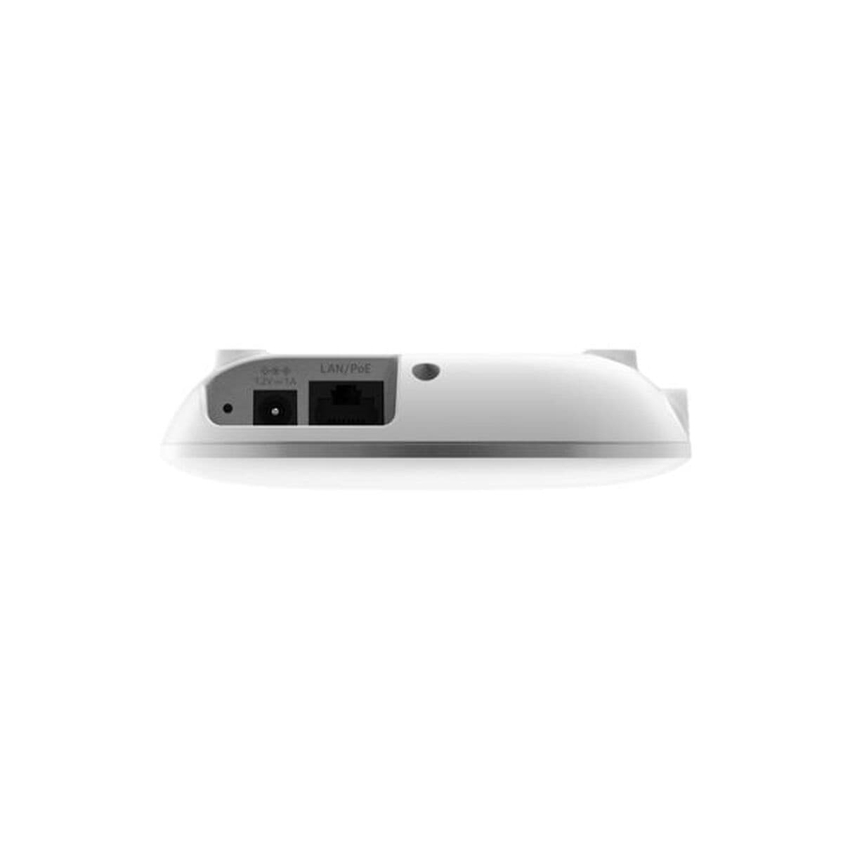 image-Access point Netgear WAX210-100EUS White