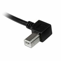 image-USB A to USB B Cable Startech USBAB2ML Black