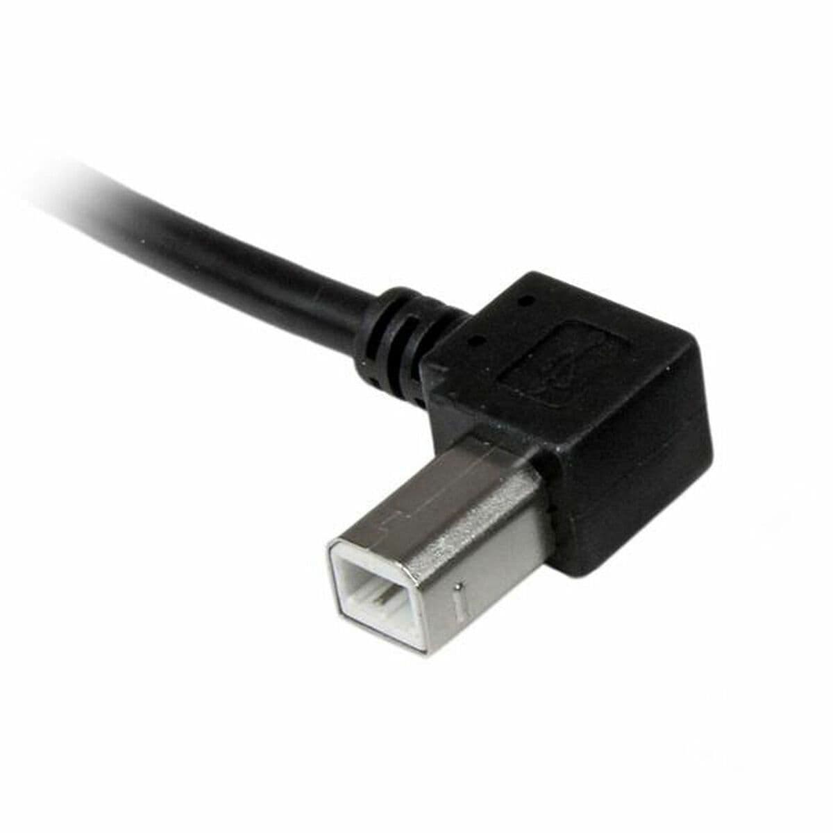 image-USB A to USB B Cable Startech USBAB2ML Black