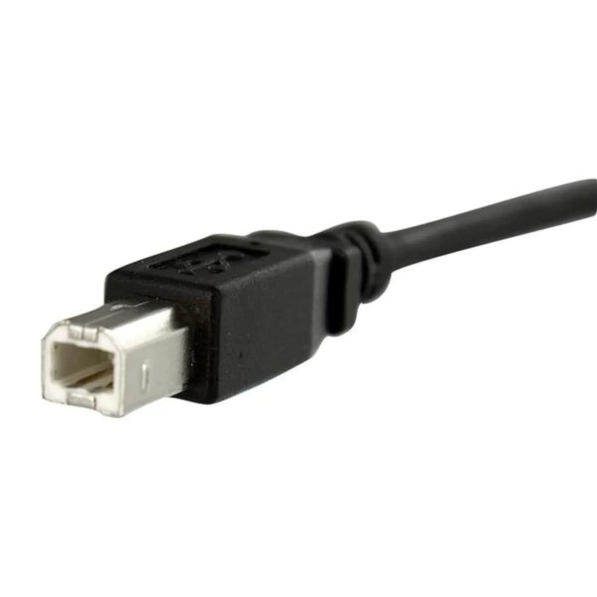 image-USB Cable Startech USBPNLBFBM1 USB B Black