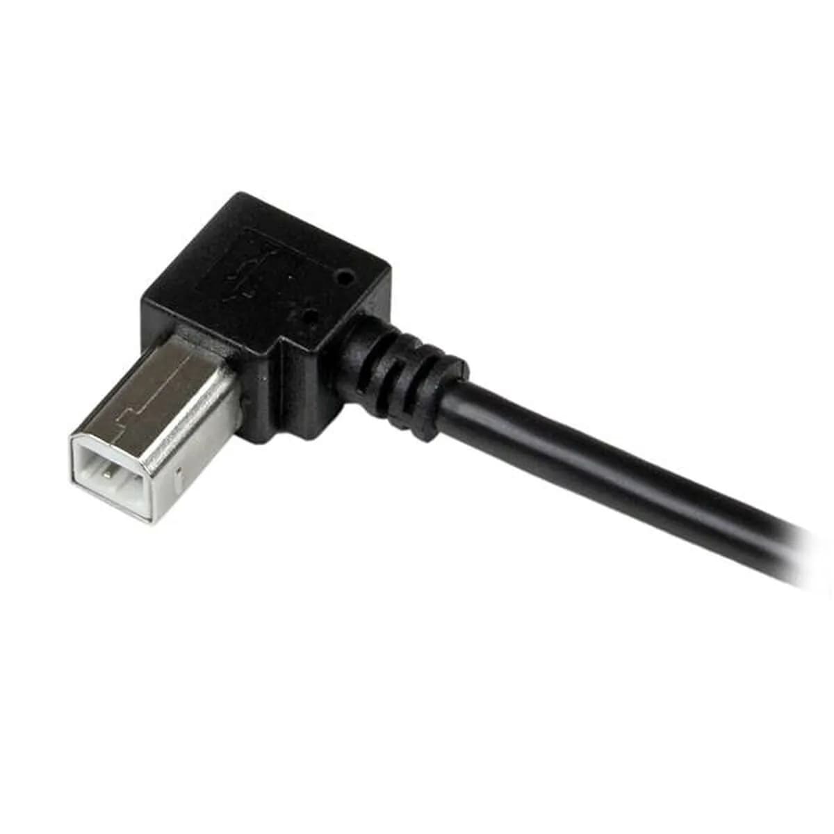 image-USB A to USB B Cable Startech USBAB1MR Black
