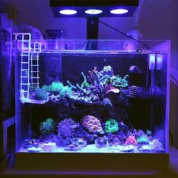 image-Spectra Nano M029 Aquarium Light 30W/40W Saltwater Lighting With Touch Control For Coral Reef Fish Tank