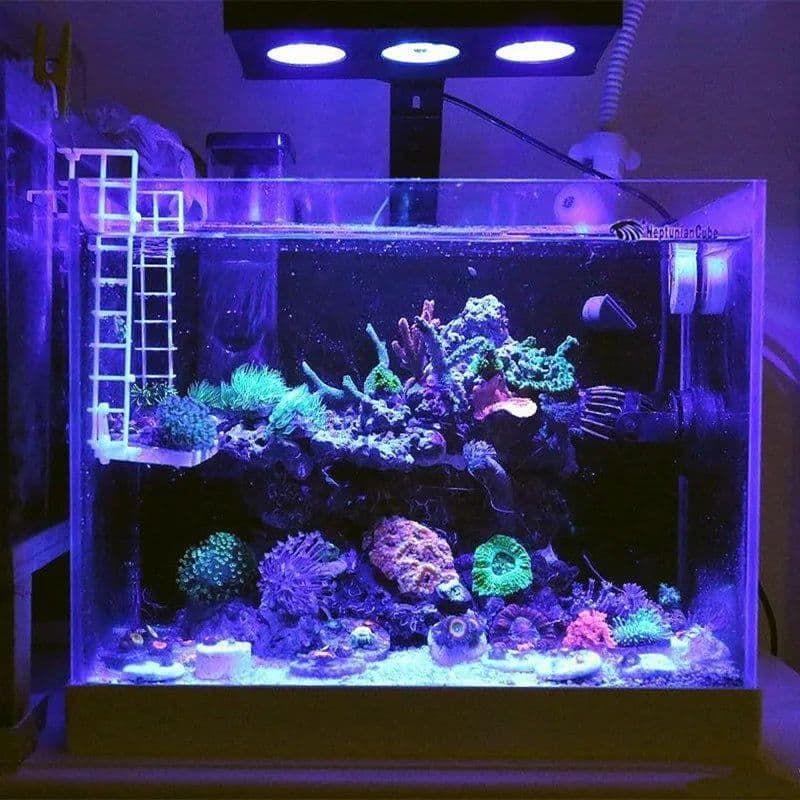 image-Spectra Nano M029 Aquarium Light 30W/40W Saltwater Lighting With Touch Control For Coral Reef Fish Tank