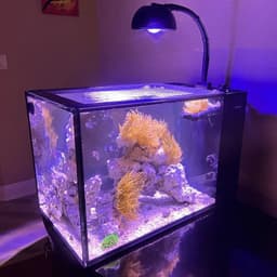 image-Noopsyche NP K7 Mini 60W WiFi APP Control Saltwater Marine LED Aquarium Light for Nano Coral Reef Tank