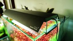 image-Chihiros WRGB II & WRGBII SLIM Shade with mirror for Aquarium Accessories Reflect Light