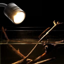 image-Super Slim LED Aquarium Light Lighting plants Grow Light 3W/5W/6W Aquatic Plant Lighting Waterproof Clip-on Lamp For Fish Tank