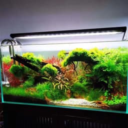 image-Week Aqua P Series Aquarium LED Light, RGB Landscaping Lamp, App Control, Adjustable Height