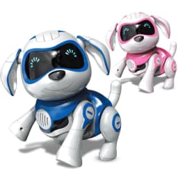 image-Baby teaches Roque robot dog