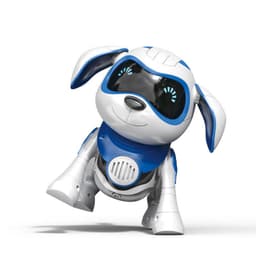 image-Baby teaches Roque robot dog