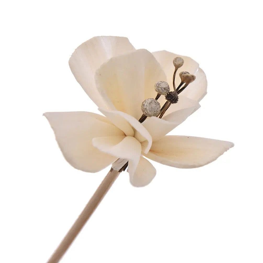 image-5X Artificial Flower Rattan Sticks Reed Diffuser Aroma Fragrance Replacement DIY