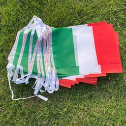 image-Aerlxemrbrae 14*21cm 20pcs/lot italy bunting flags italy string Triangular Flag Buntings Festival Party Holiday
