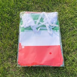 image-Aerlxemrbrae 14*21cm 20pcs/lot italy bunting flags italy string Triangular Flag Buntings Festival Party Holiday