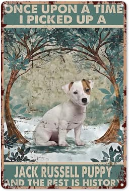 image-Jack Russell Puppy New Metal Tin Sign Retro Style Metal Poster Tin Sign Vintage Wall Decor for Cafe Bar Pub Home Beer