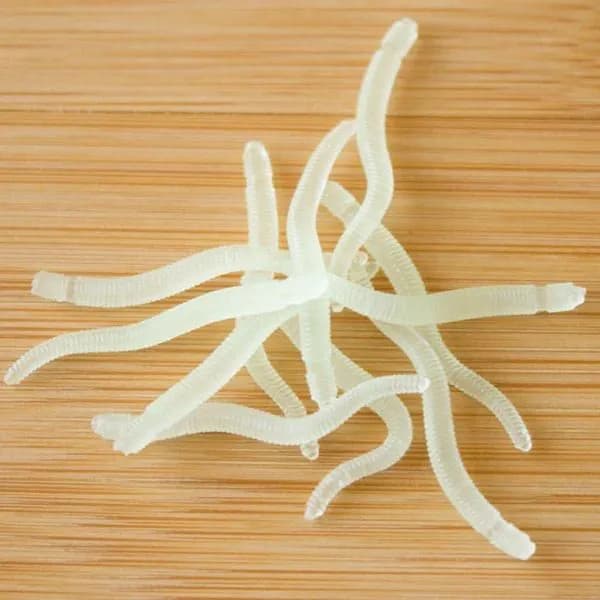 image-ports & Entertainment 20/50PCS Fishing Lures Lifelike Fishy Smell Red