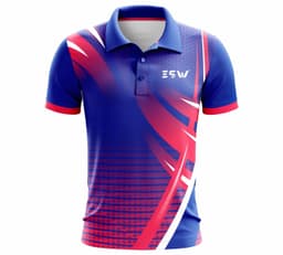 image-Men's Polyester Collar Neck Sports T-Shirts Color Blue, Pink