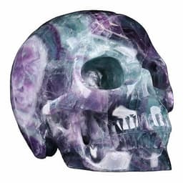 image-Natural Purple Fluorite 5 Inch Gemstone Skull