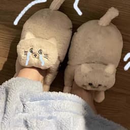image-Cute Cat Hug Plush Cotton Slippers