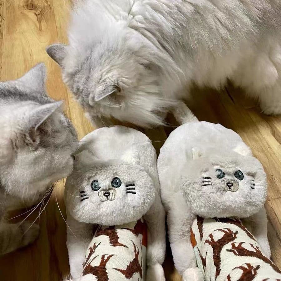 image-Cute Cat Hug Plush Cotton Slippers