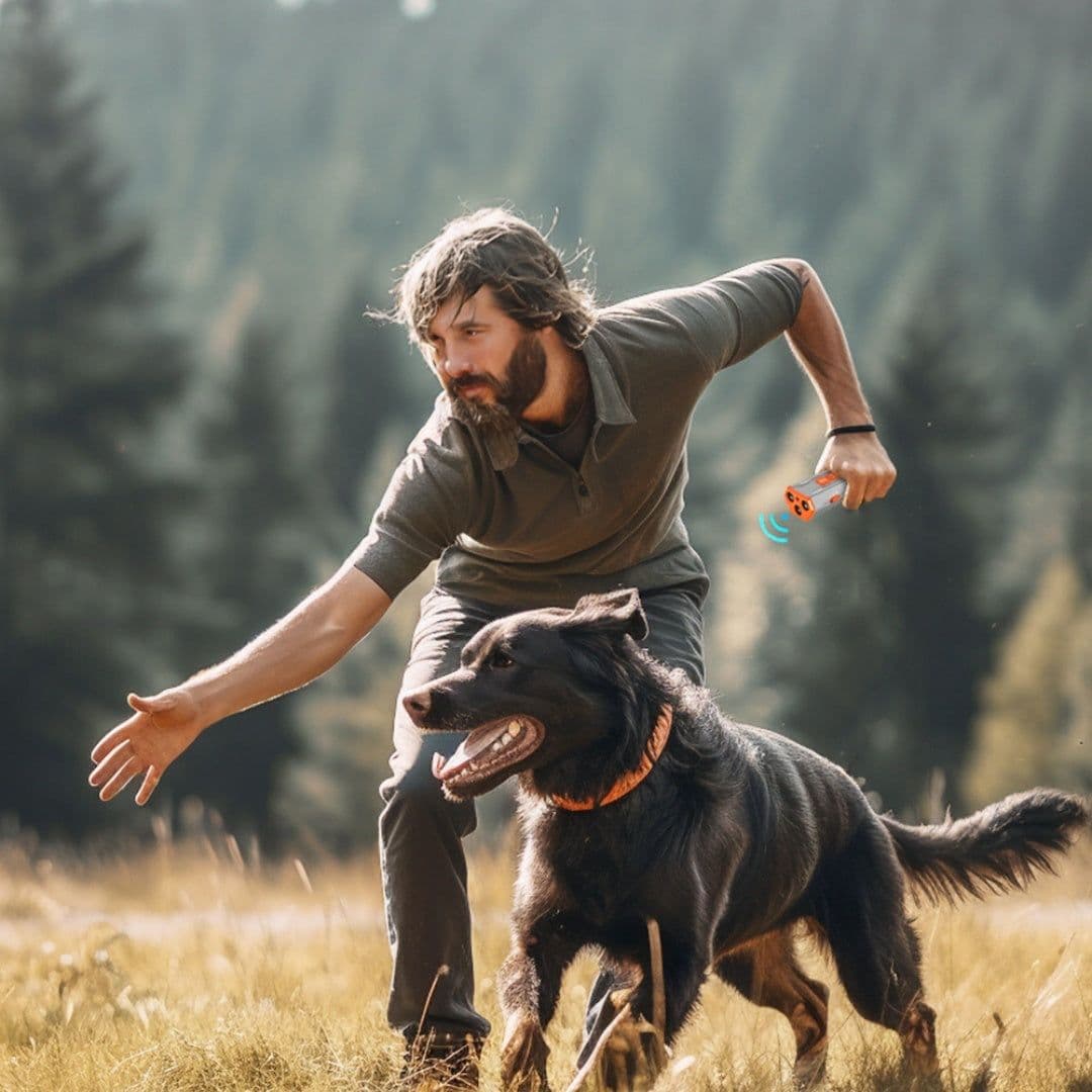 image-Creative Home Lighting Three Head Ultrasonic Dog Trainer