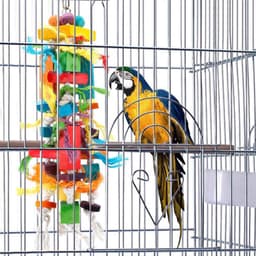image-Wooden Color Nibbling Toy Medium And Large Parrot Bird