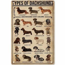 image-Pet Lovers Wall Decoration Sausage Dog