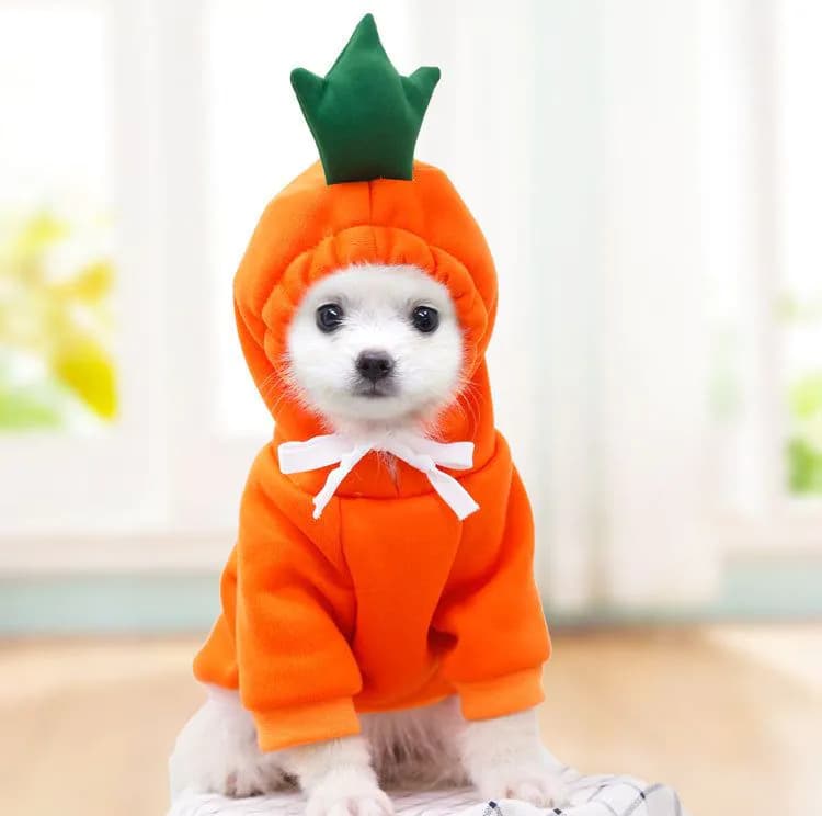 image-Pet Hoodie for Small to Medium Dogs and Cats - 2XL