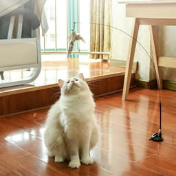 image-Steel wire long rod funny cat stick Powerful suction cup with feather bell replacement head bite resistant cat toy self-hey interaction to relieve boredom