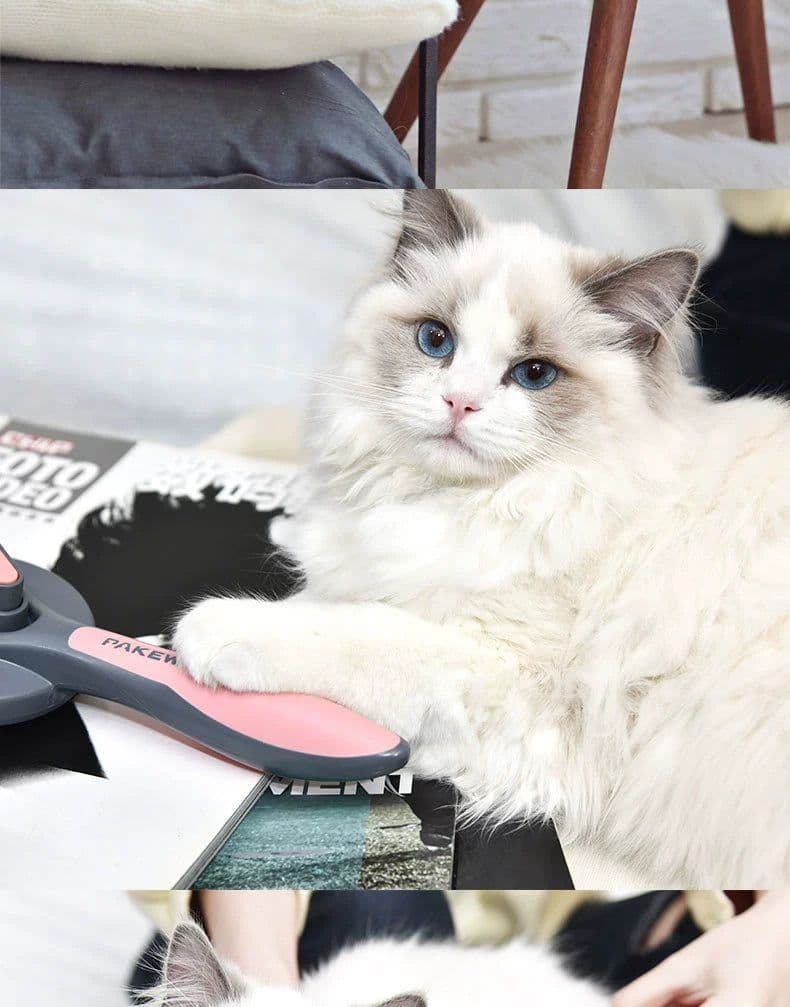 image-Cat comb to float hair Teddy dog comb flea comb large dog golden hair bristle comb special for dogs and cats