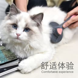 image-Cat comb to float hair Teddy dog comb flea comb large dog golden hair bristle comb special for dogs and cats