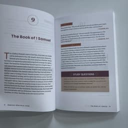 image-Beginner's Bible Study Guide: An Introduction to All 66 Books of the Bible