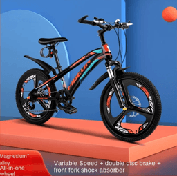 image-Youth Mountain Bikes with Disc Brakes