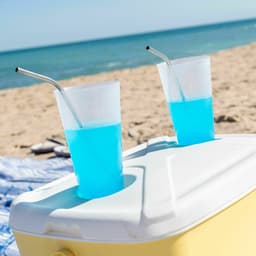 image-Portable Rigid Cooler Lilty InnovaGoods 15 L