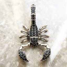 image-Pendant Scorpion Black,Brand New Fashion Jewelry Europe 925 Sterling Silver Accessories Gift For Woman Rebel Men
