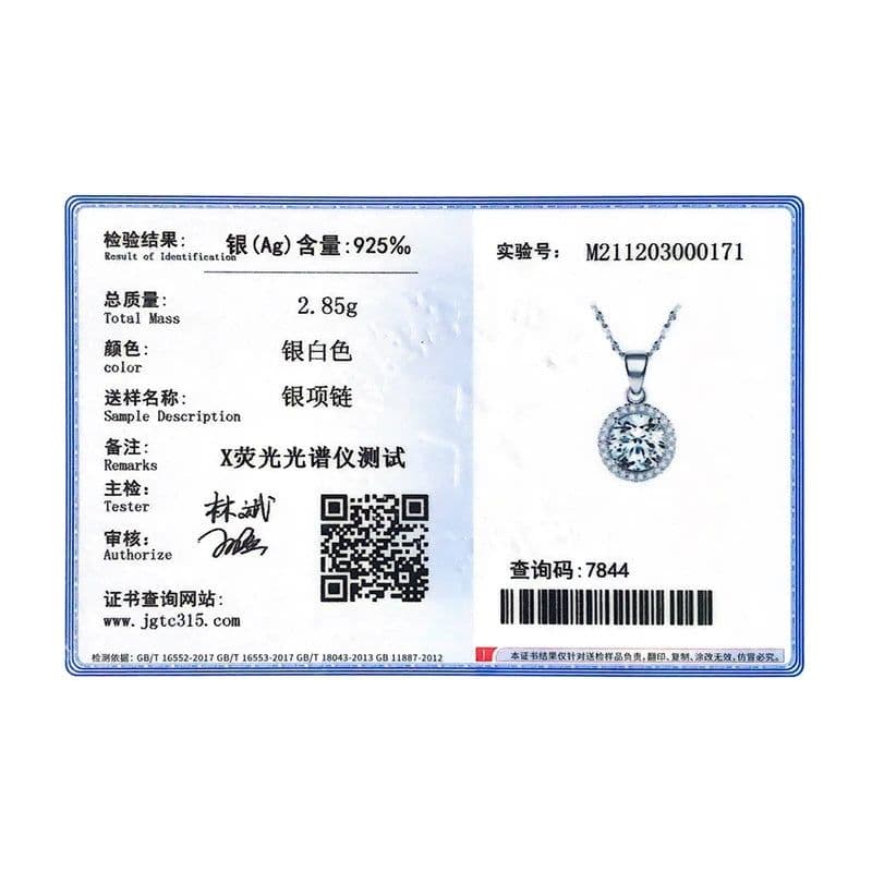 image-Genuine 925 Sterling Silver Luxury Chain Brand Necklace with 2.0Ct AAAAA Level Zircon Necklaces Gift Jewelry for women