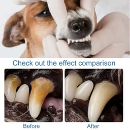 image-Pet Teeth Cleaner Spray Tartar Removal Mouth Fresher Deodorant Natural Plaques Off Prevent Oral Calculus Dog Oral Cleanse Liquid