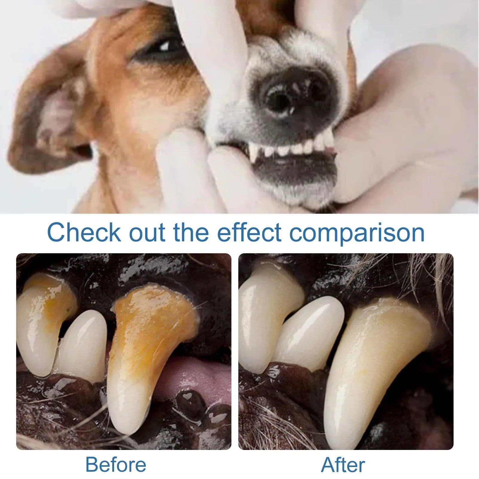 image-Pet Teeth Cleaner Spray Tartar Removal Mouth Fresher Deodorant Natural Plaques Off Prevent Oral Calculus Dog Oral Cleanse Liquid
