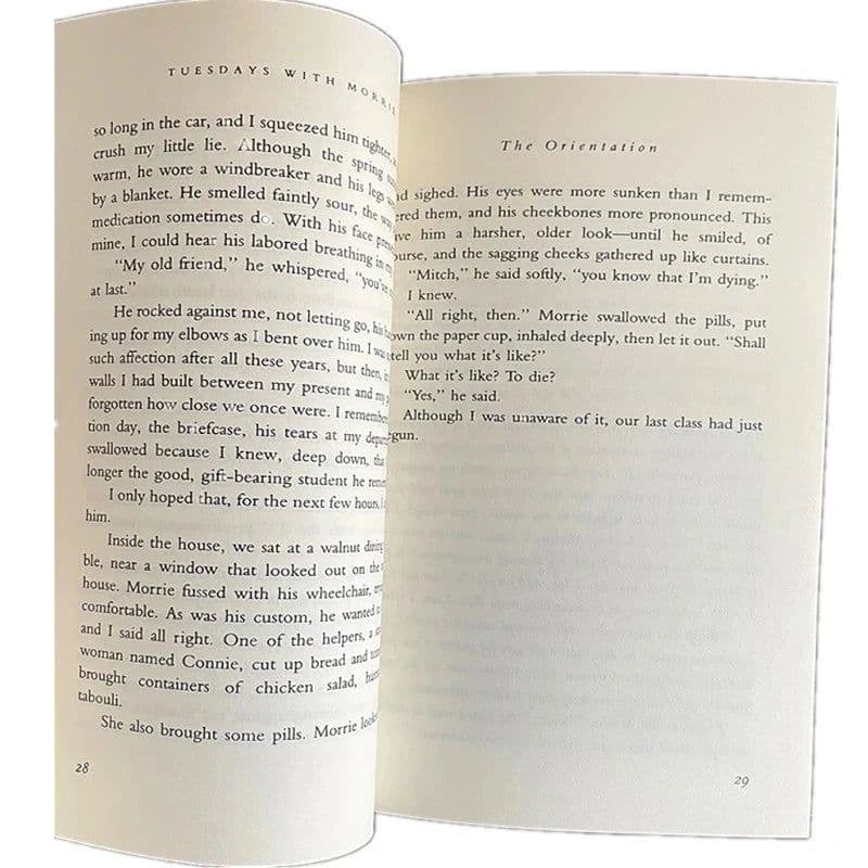 image-Tuesdays With Morrie Life's Greatest Lesson Book by Mitch Albom The Meaning of Life Adult English Reading Books