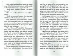 image-The Perilous Road, Children's books aged 9 10 11 12 English books, Literature novels 9780152052041