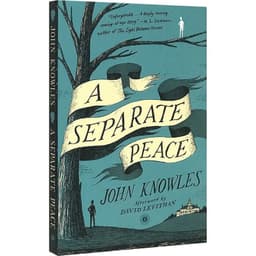 image-A Separate Peace, Teen English in books story, Film on novel based 9780743253970