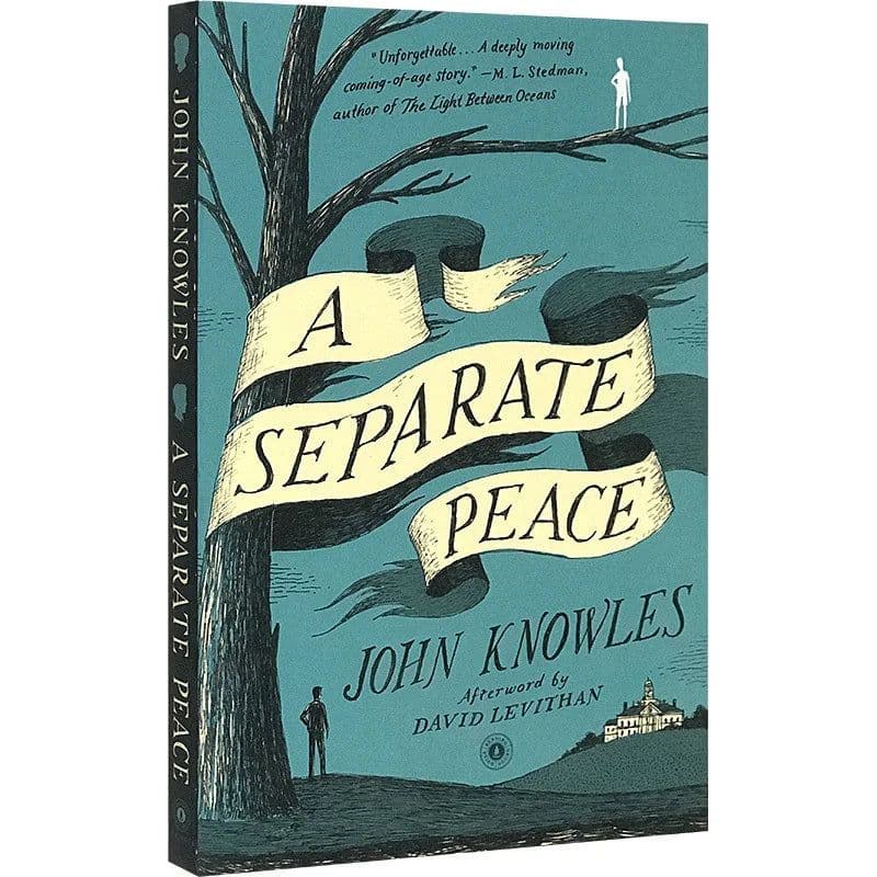 image-A Separate Peace, Teen English in books story, Film on novel based 9780743253970