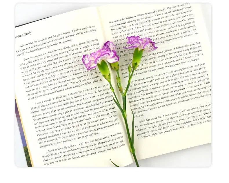 image-The Great Gatsby English Version Original Genuine Novels Junior High School Students English Reading Books
