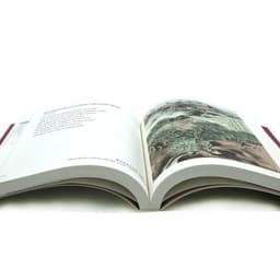 image-New Graphic Tang poem in Chinese and English China poetry Appreciation book