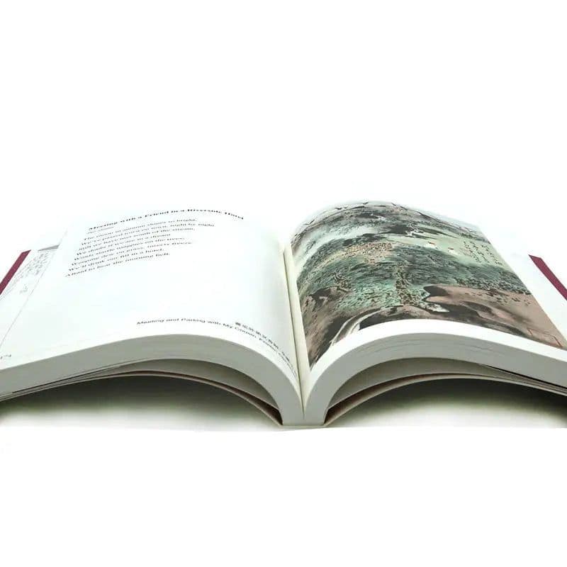 image-New Graphic Tang poem in Chinese and English China poetry Appreciation book