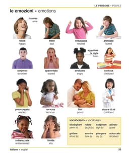 image-DK Italian English Bilingual Visual Dictionary Bilingual Contrastive Graphical Dictionary Book
