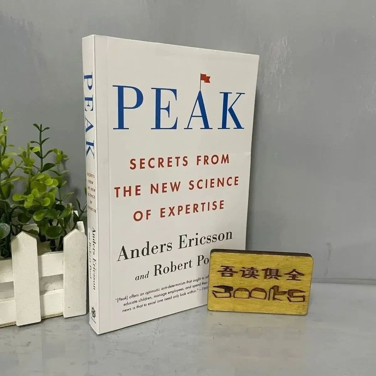 image-Peak: Secrets From The New Science of Expertise Adult Books English Books