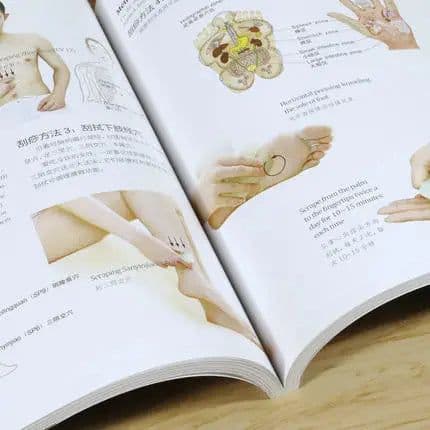 image-Bilingual Valuable Used An illustrated guide to guasha therapy by Zhang Xiu Qin ( English & Chinese ) Book