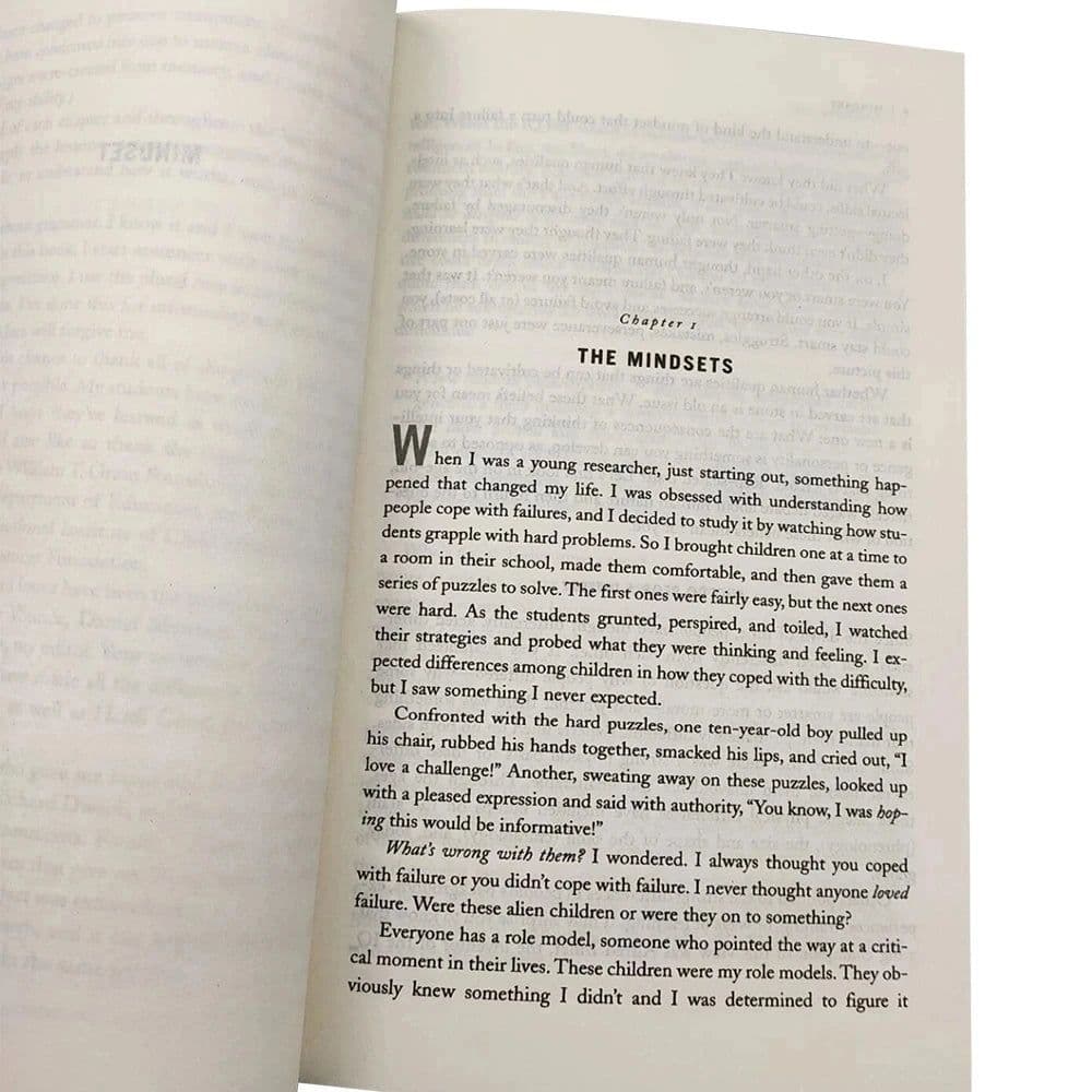 image-Mindset The New Psychology Of Success English Book by Carol S. Dweck Foreign Literature Inspirational Book