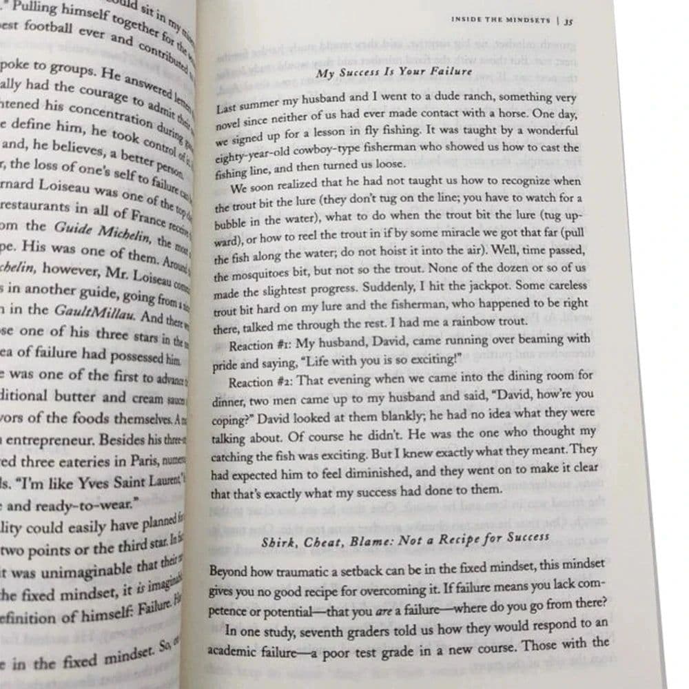 image-Mindset The New Psychology Of Success English Book by Carol S. Dweck Foreign Literature Inspirational Book