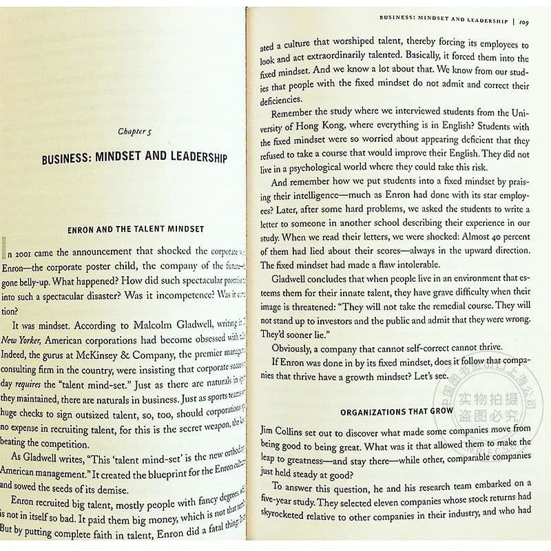 image-Mindset The New Psychology Of Success English Book by Carol S. Dweck Foreign Literature Inspirational Book
